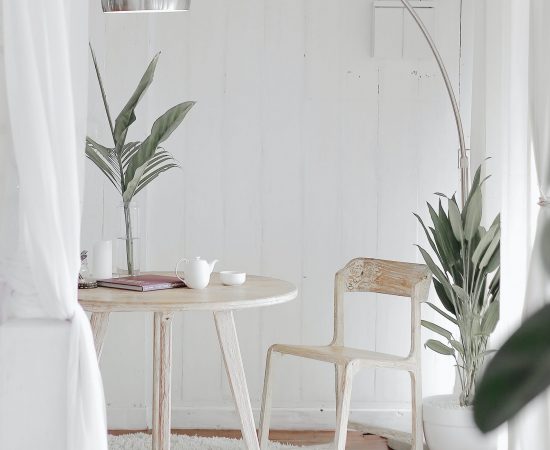 home or office styling. table and chair with plants and white circle rug