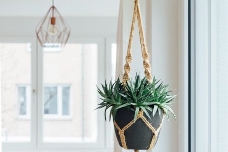 white interior home with plant hanging in brown macrame and grey pot. Ramona Aline Home loves using plants as decor